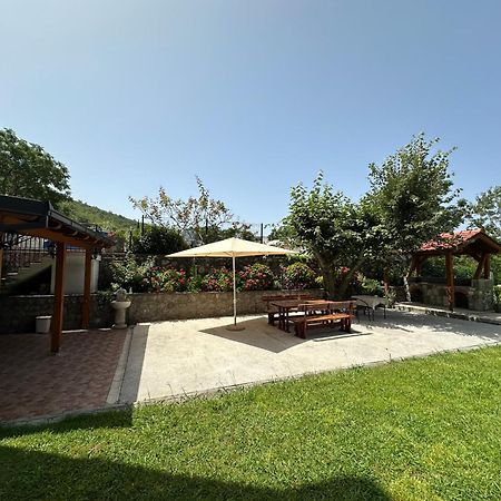 Apartmani Stanisic Čanj Exteriör bild